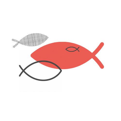 Fish Shape Design